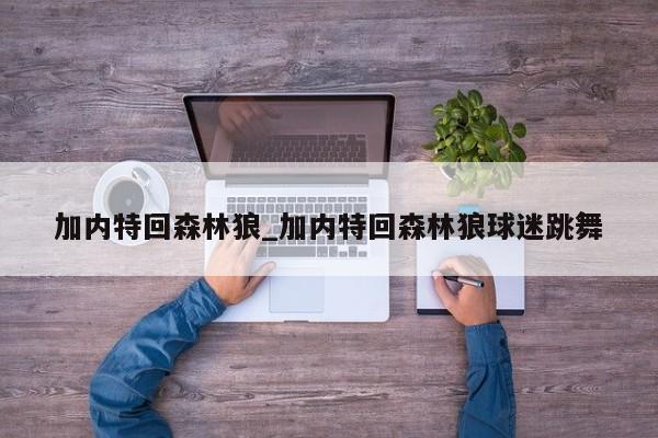 加内特回森林狼_加内特回森林狼球迷跳舞