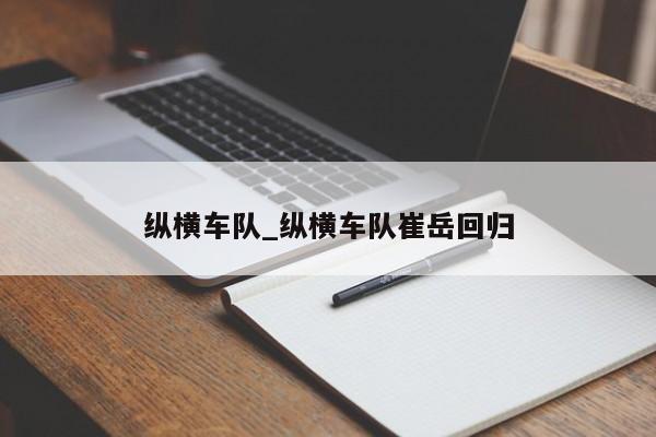 纵横车队_纵横车队崔岳回归
