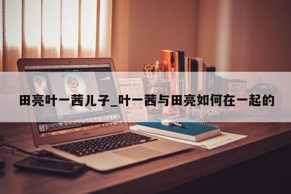 田亮叶一茜儿子_叶一茜与田亮如何在一起的
