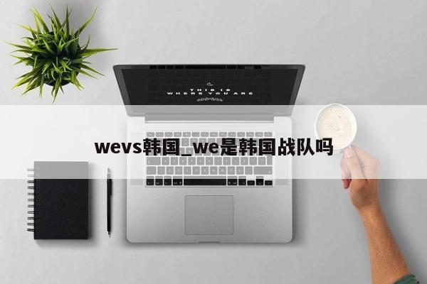 wevs韩国_we是韩国战队吗